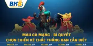 Màu Gà Mạng - Bí Quyết Chọn Chiến Kê Chắc Thắng Bạn Cần Biết