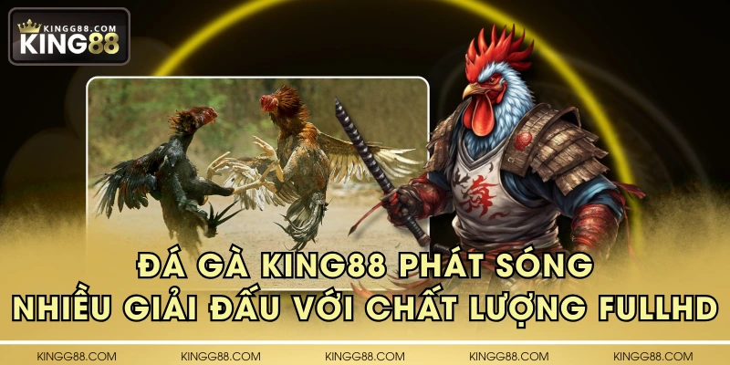 Đá gà KING88 phát sóng nhiều giải đấu với chất lượng FullHD
