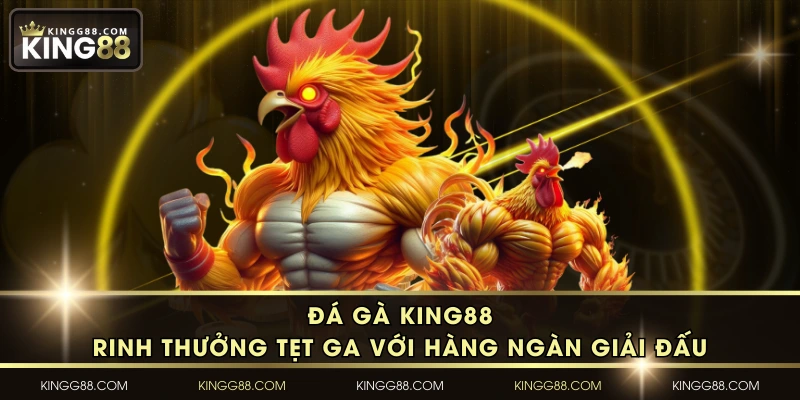Đá Gà KING88 - Rinh Thưởng Tẹt Ga Với Hàng Ngàn Giải Đấu
