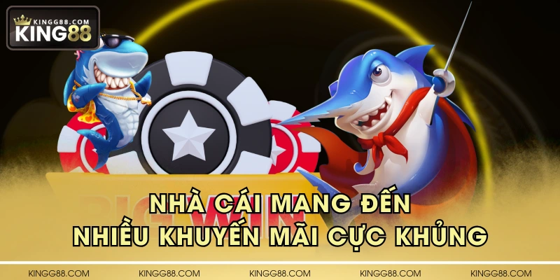 Nhà cái mang đến nhiều khuyến mãi cực khủng